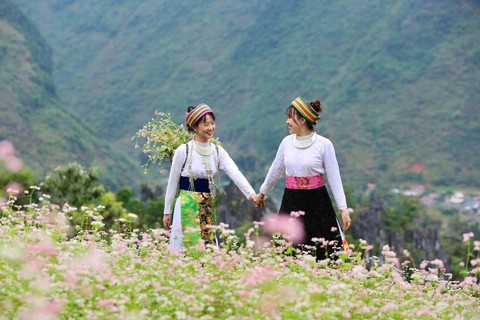 3-Day Deluxe Ha Giang Loop to All Highlights, Stay Resort 4* Tour with 2-way Limousine Tickets included