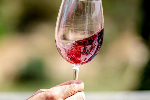 Gozo: Family Winery Estate Tour with Wine Tasting Gozo: Family Estate Tour with Wine Tasting