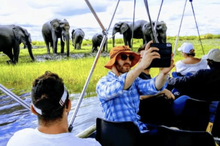 Chobe : Sunset Cruise