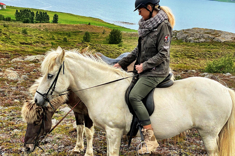 Wanaka: Scenic Horseback Riding Adventure