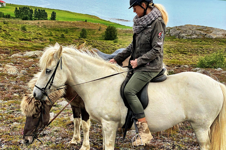 Wanaka: Scenic Horseback Riding Adventure