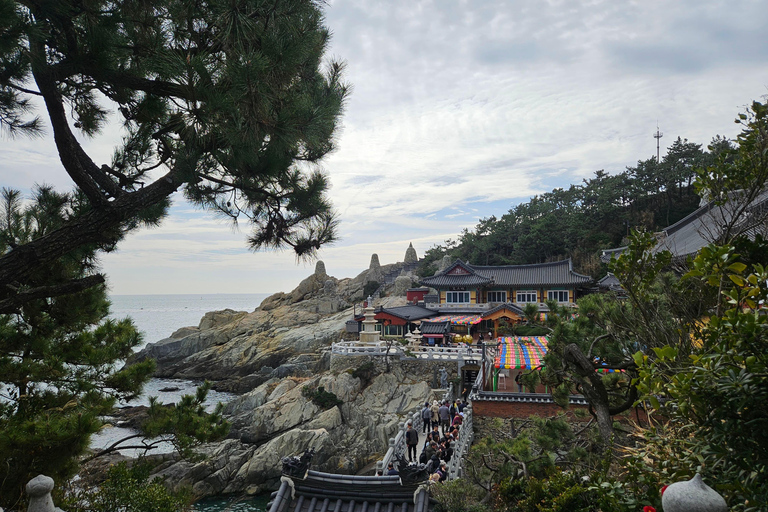 Busan: Top Attractions Tour for Cruise Guests For Busan Cruise Guest Highlight Top Attraction Group Tour