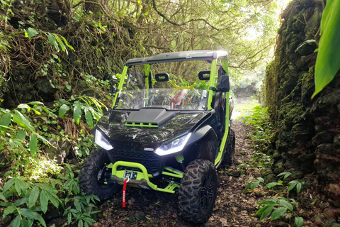 Buggy ride through the vineyards of Pico Island