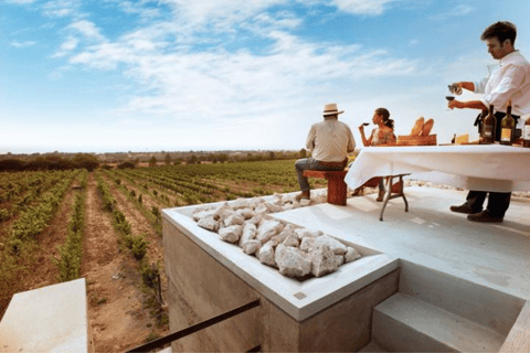 León: Tour del vino a Viñedo Leones ed esplorazione del centro città