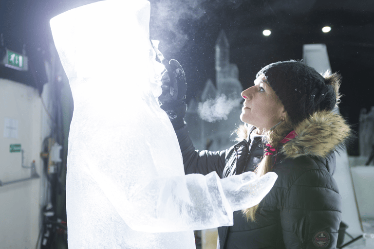 Biddinghuizen: Dutch Ice Sculpture Festival Entry Ticket