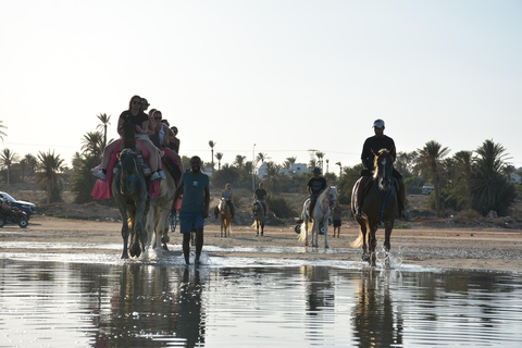 Enjoy the Adventure for 2.5 hours with Horses and Camels