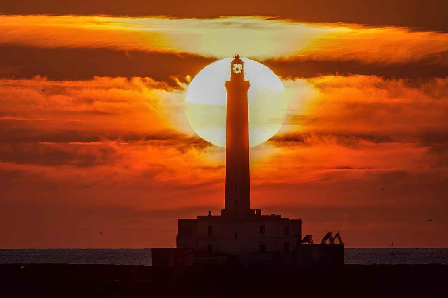 Tour privato in barca al tramonto sull'Isola di S.Andrea a Gallipoli
