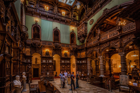 Bucharest: Brasov Old Town & Dracula's & Wednesday & Peles