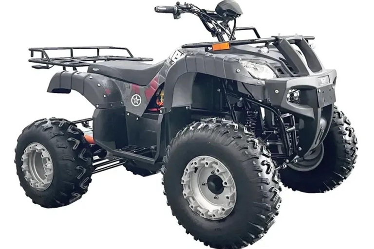 Gdańsk: Full-Day Electric Quad ATV Rental