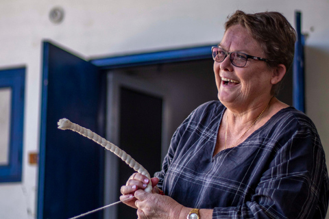 Jaipur: Natürliches Färben, Blockdruck, Tie &amp; Dye Workshop