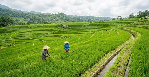 Soft Trekking and Hidden Waterfall in Tetebatu