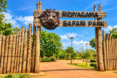 Ridiyagama: Safari Adventure with Lions, Tigers & Elephants