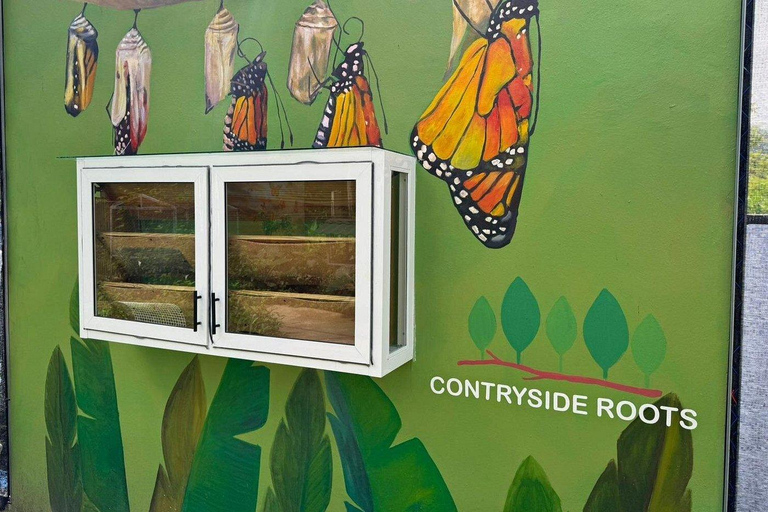 Puerto Plata: stadstour met vlindertuin