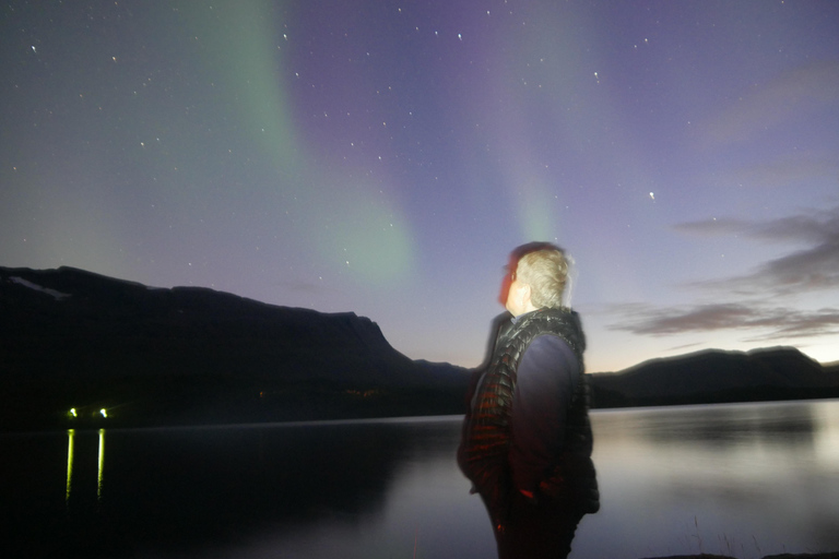 Harstad/Narvik/Tjeldsund: Northern Lights Sightseeing by Car