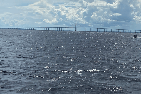 Delad tur Speedboat-resa på Rio Negro