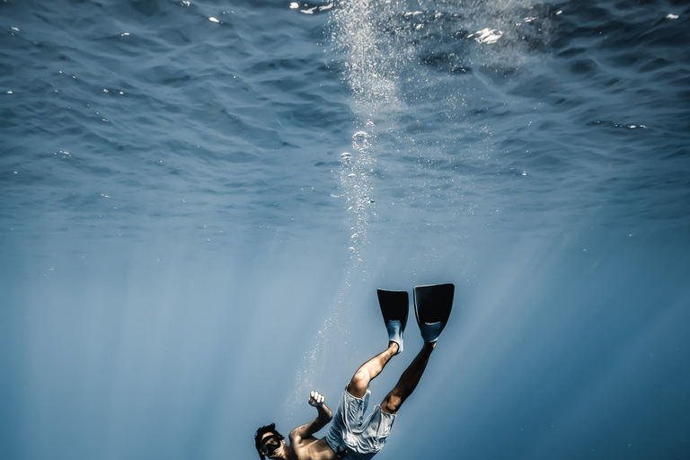 Oahu: Cage-Free Shark Diving Adventure Oahu: Cage-Free Shark Diving Adventure with Photos