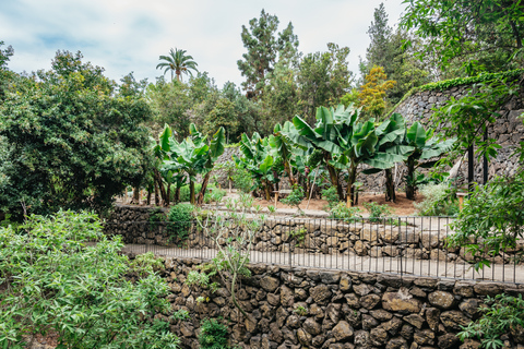 Icod de los Vinos: ingresso para dragoeiro e jardim botânico