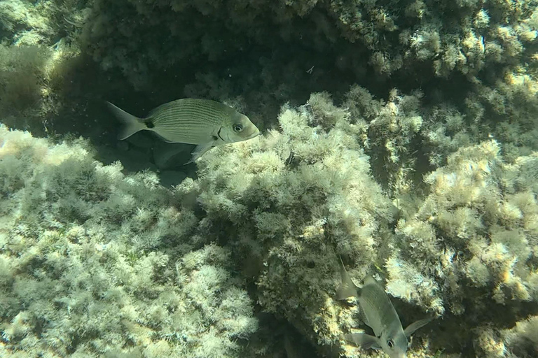 SCALA DEI TURCHI: Rent a KAYAK or Stand Up Paddle for 1 hour [+Snorkeling Kit] SCALA DEI TURCHI 1-hour STAND-UP PADDLEBOARD rental for 1 person