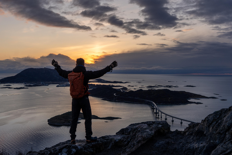 Tromsø: Midnight Sun Hike with Local Guides, Lunch & Photos
