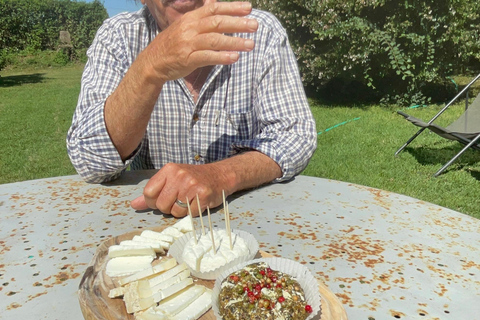 Private tour of the Alpilles: Saint-Rémy-de-Provence & Les Baux-de-Provence