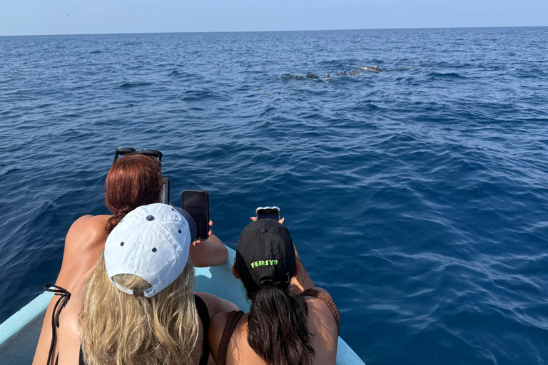 Puerto Escondido: Bootstour zu Delfinen und MeerestierenPrivate Tour