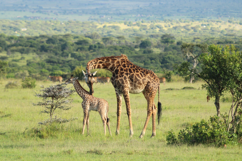 Discover Aberdare Park, Lake Naivasha & Hells Gate (3 days) Aberdare Park, Lake Naivasha & Hell's Gate (from Nairobi)