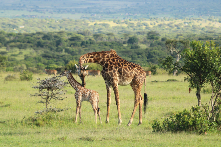Discover Aberdare Park, Lake Naivasha & Hells Gate (3 days) Aberdare Park, Lake Naivasha & Hell's Gate (from Nairobi)