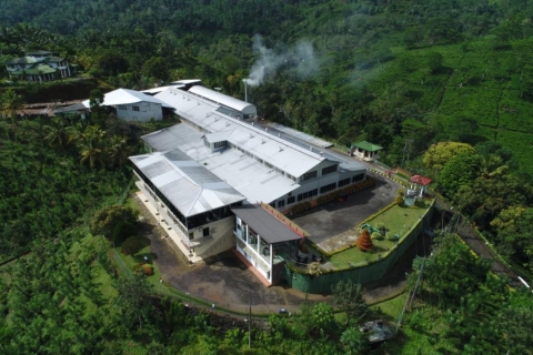 Sinharaja Rain Forest & Tea Factory Trip