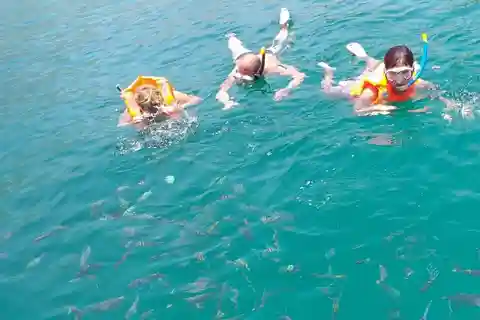 Khasab Musandam |Telegraph Island |Dhow Cruise | Dolphins