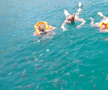 Khasab Musandam |Telegraph Island |Dhow Cruise | Dolphins