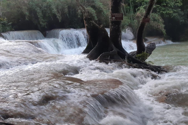 Slow boat to Pak Ou caves and Kuang Si falls Full-day tour