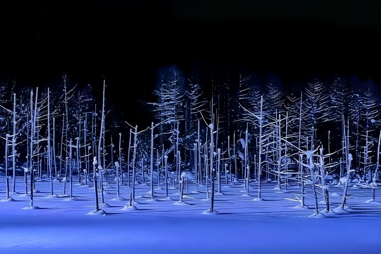 Sapporo: Blue Pond & Ningle Terrace Illumination, Biei Tour 10:40 – Departure：Sapporo Station North Exit Bus Parking Lot