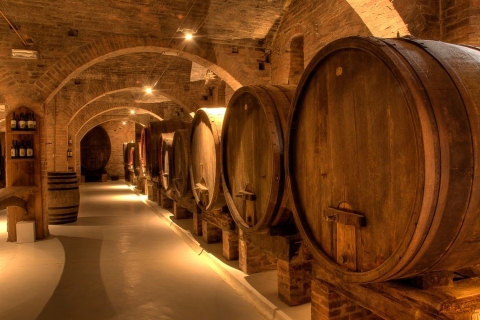 De Pise ou Lucca: Dégustation de vins de Toscane Chianti d'une demi-journéeWine Tour - Départ de Lucca