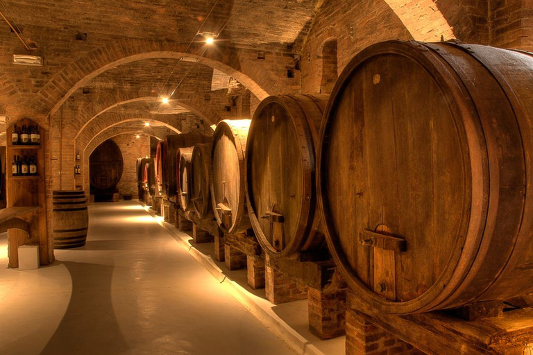 From Pisa or Lucca: Half-Day Tuscany Chianti Wine Tasting Wine Tour departure from Pisa