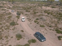 Safari & Birdwatching in Vjosa-Narta Protected Landscape - Housity