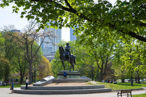 Royal Ontario Museum & Gardiner Museum Private Guided Tour 3-hour: Royal Ontario Museum Tour & Transport