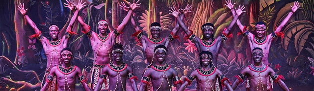 Safari Park Hotel Dinner and Cat Dance Experience