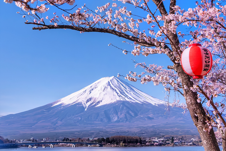 Tokyo: Mountain Fuji Private Full Day Tour with transfer Mount Fuji: Private Tour (Guided tour included) Max 5 pax