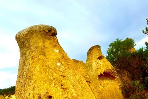 Excursão de um dia ao deserto de Pinnacles