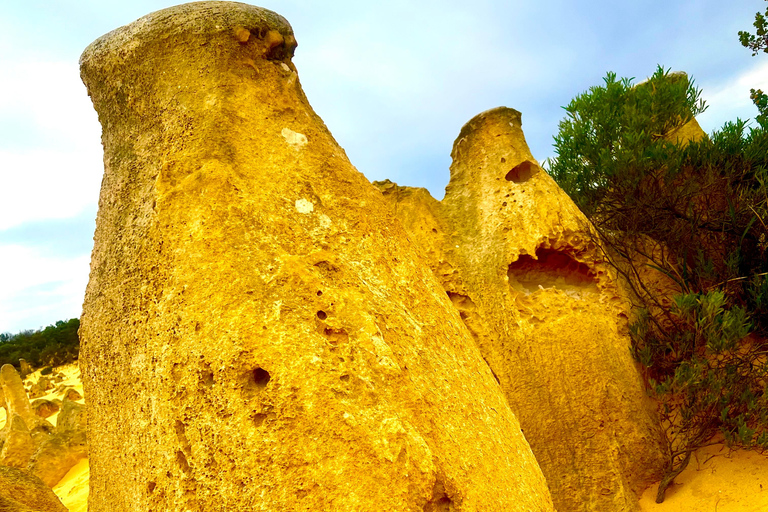 Pinnacles Wüste Tagestour