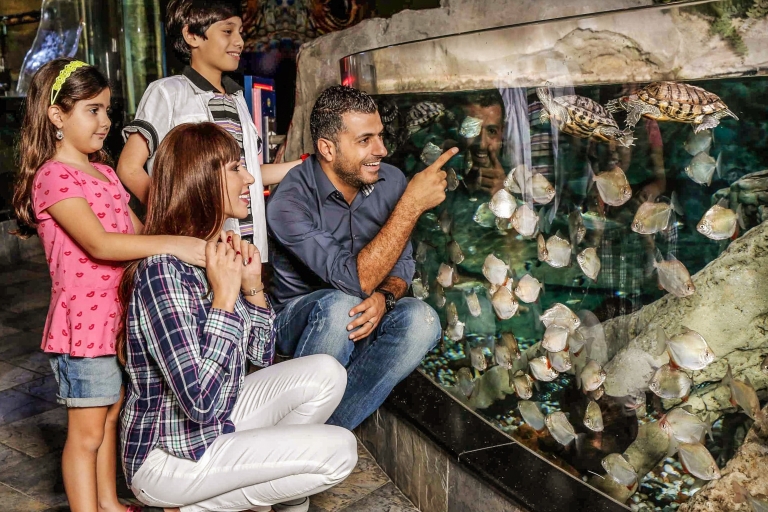 Dubai Entrada de un día para el Acuario y el Zoo Submarino