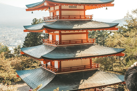 Da Tokyo: Pagoda di Chureito, tour panoramico del Monte FujiShinjuku