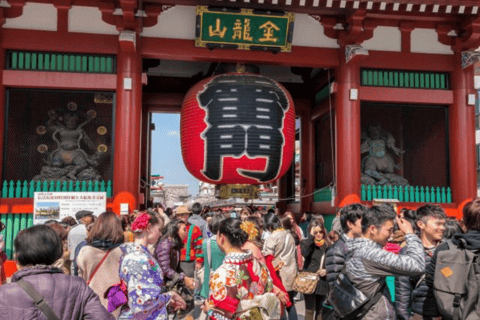 Tokyo: Full Day Tokyo City Private Tour Must Seeing Places