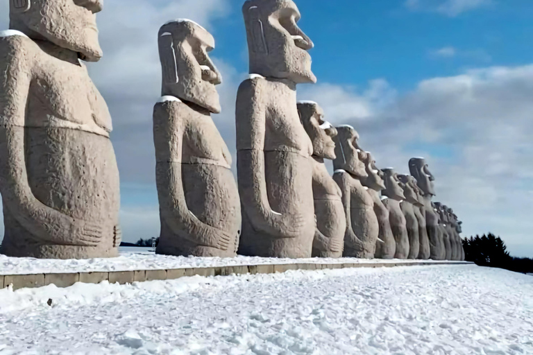 Sapporo: Private Customizable 10-Hour Car Tour