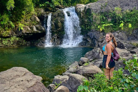 Maui Sea Turtles & Waterfalls: Full-Day Road to Hana Tour