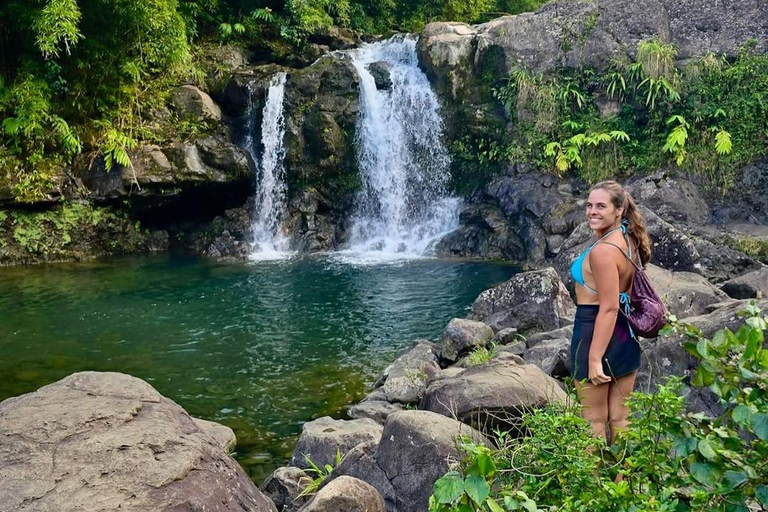 Maui Sea Turtles & Waterfalls: Full-Day Road to Hana Tour