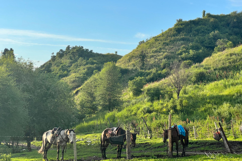 From Yining: Wusun Ancient Trail and Silk Road 7-Day Trek