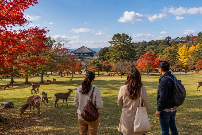 Nara: Autumn Colors, Deer & Historic Park Walk Early Bird 20% Off – Limited Autumn Offer