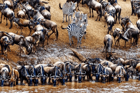 Tanzania: 8-Day Safari Tour with Accommodation