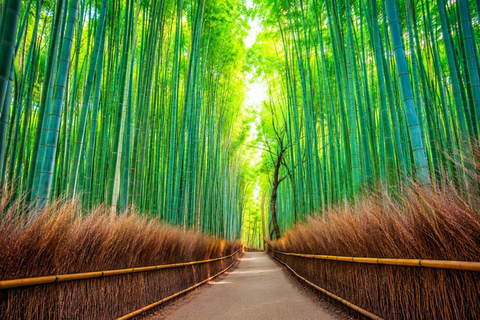 Kyoto & Nara Private Tour with English Speaking Guide